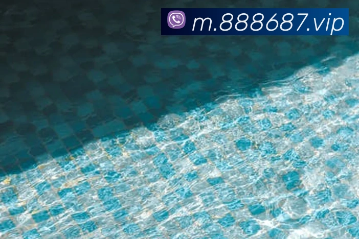 8868体育APP 封面图